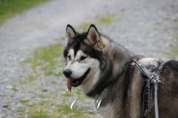 IMG_6363-Kopie