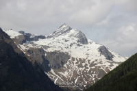 IMG_6367-Kopie