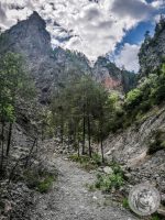 17IMG_20220521_120805-Kopie