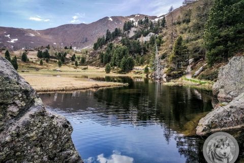 Mallnitz (Mai 2022): Windebensee an der Nockalmstraße