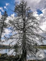 18IMG_20220520_130006-Kopie
