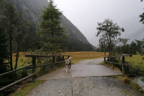 Mallnitz - September 2020