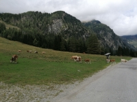 IMG_20200924_140450