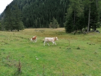 IMG_20200924_140500