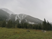 IMG_20200926_104449