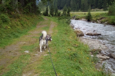Mallnitz, Tauerntal (2. August 2018)