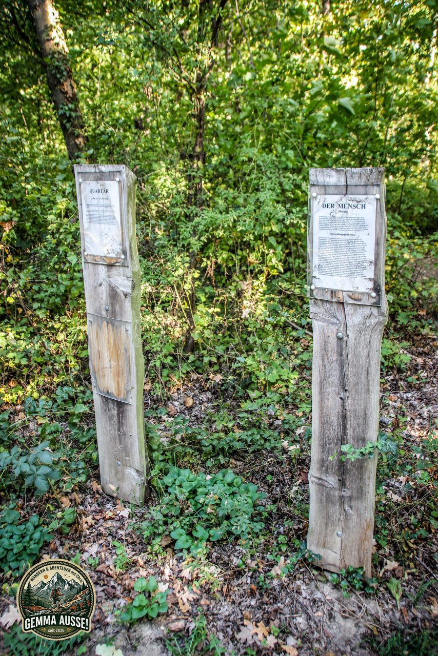 Watermark_6IMG_1516