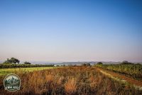 Watermark_11IMG_1521