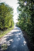 Watermark_15IMG_1525