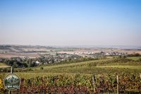 Watermark_16IMG_1526