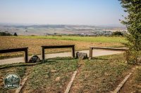 Watermark_25IMG_1532