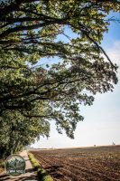 Watermark_34IMG_1545