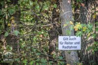 Watermark_36IMG_1547
