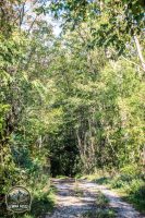 Watermark_38IMG_1550