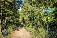 Watermark_3IMG_1512