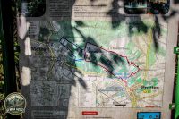 Watermark_4IMG_1513