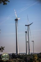 Watermark_50IMG_1566