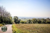 Watermark_55IMG_1572