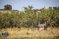 Watermark_56IMG_1573
