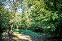 Watermark_5IMG_1515