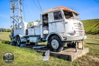 Watermark_69IMG_1587