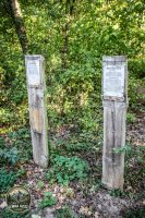 Watermark_6IMG_1516