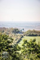 Watermark_86IMG_1608