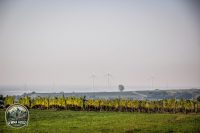 Watermark_8IMG_1518