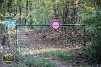 Watermark_9IMG_1519