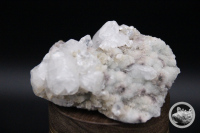 Wasserzeichen-IMG_9888-Apophyllit-Stufe-Amethystwelt