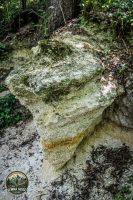 Watermark_10IMG_0141