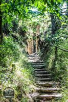 Watermark_13IMG_0145