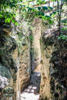 Watermark_14IMG_0146