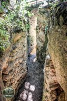Watermark_15IMG_0147