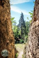 Watermark_18IMG_0150