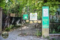 Watermark_1IMG_0132