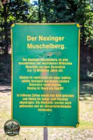 Watermark_23IMG_0155