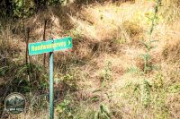 Watermark_27IMG_0159