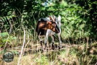 Watermark_29IMG_0161