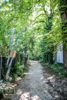 Watermark_2IMG_0133