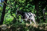 Watermark_30IMG_0162