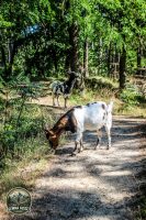 Watermark_32IMG_0164