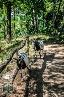 Watermark_39IMG_0171