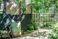 Watermark_3IMG_0134