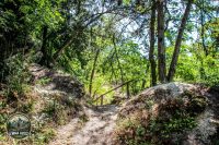 Watermark_43IMG_0176