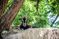 Watermark_45IMG_0179