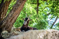 Watermark_48IMG_0183