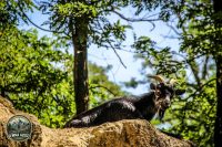 Watermark_49IMG_0184