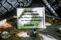 Watermark_4IMG_0135