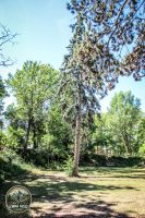 Watermark_53IMG_0191